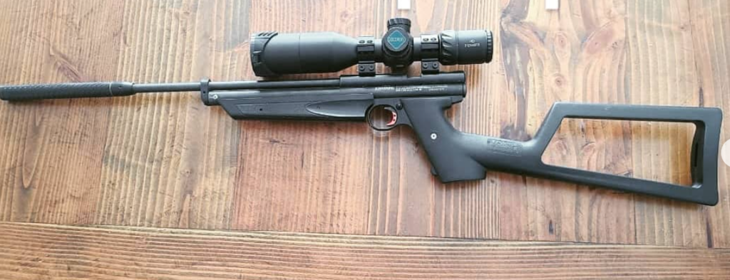 Crosman 1322 American Classic - Custom