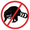 quick raccoon removal